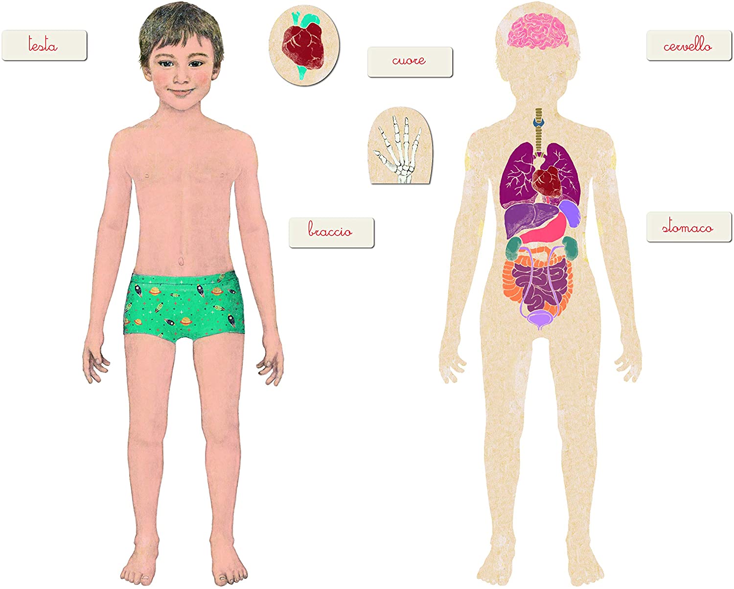 Corpo Umano: Scansiona il codice QR e ottieni la risposta giusta. ATTIVITÀ  DI ANATOMIA UMANA PER BAMBINI 6+. Edizione a colori (imp (Paperback)